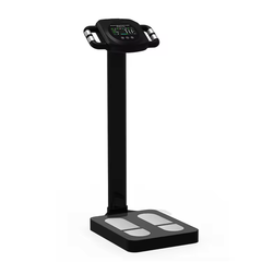 Mercury-High Quality Smart Body Fat Scale Ergonomic Four Electrode Handle 200kg AV Colorful LCD Display Glass Platform Weighting Scale