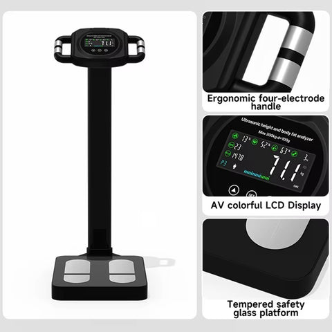 Mercury-High Quality Smart Body Fat Scale Ergonomic Four Electrode Handle 200kg AV Colorful LCD Display Glass Platform Weighting Scale