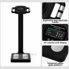 Mercury-High Quality Smart Body Fat Scale Ergonomic Four Electrode Handle 200kg AV Colorful LCD Display Glass Platform Weighting Scale